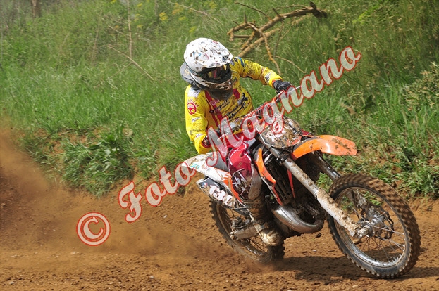 DSC_4682.jpg